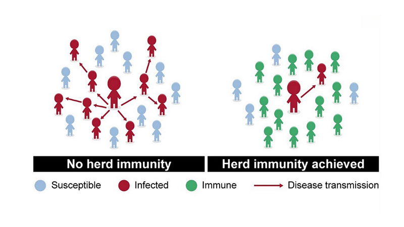 Herd immunity